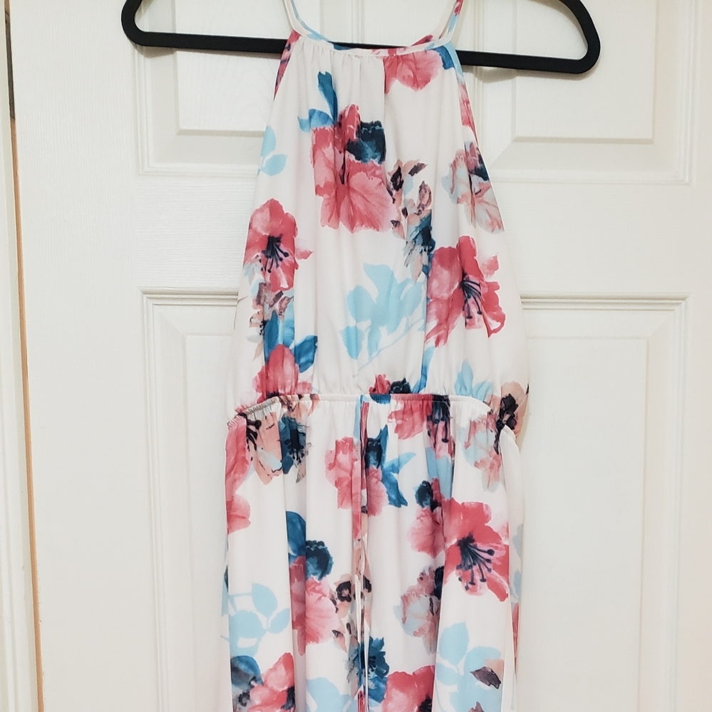 Pink Lily Floral Pink/Blue Maxi Dress